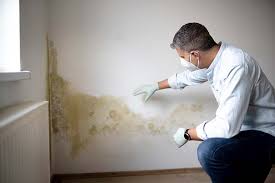 Why You Should Choose Our Mold Remediation Services in Mount Cob, PA